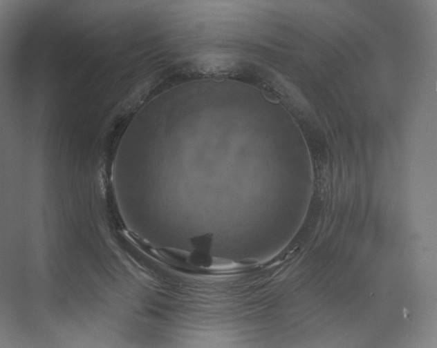 X0000075830644200609151239