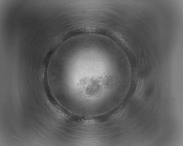 X0000075830645200609151239