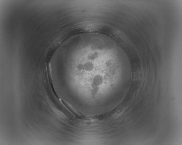 X0000075830646200609151239