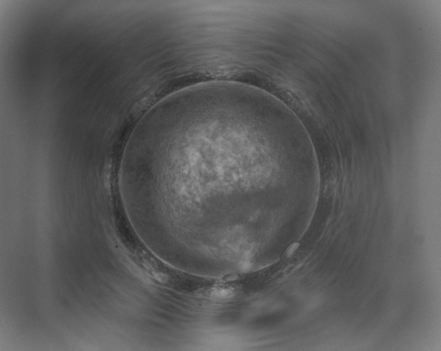 X0000075830647200609151239