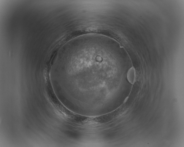 X0000075830648200609151239