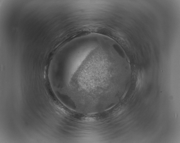 X0000075830649200609151239