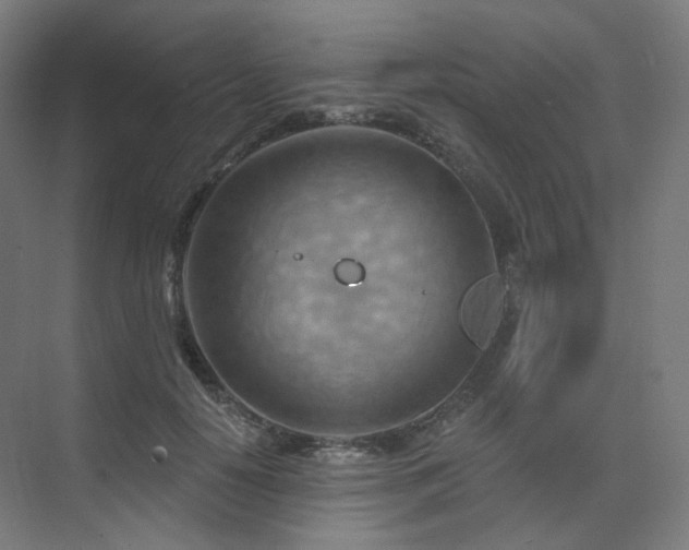 X0000075830650200609151239