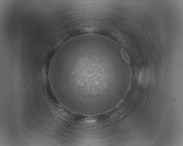 X0000075830651200609151239