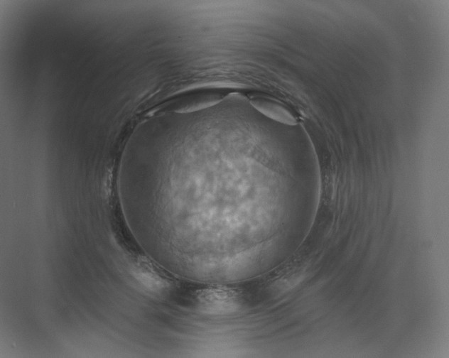 X0000075830652200609151240