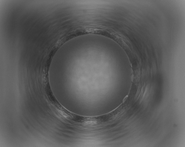 X0000075830653200609151240