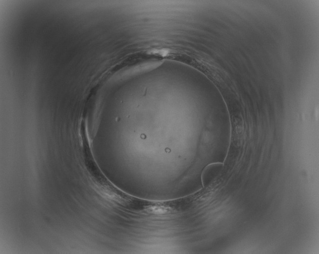 X0000075830654200609151240