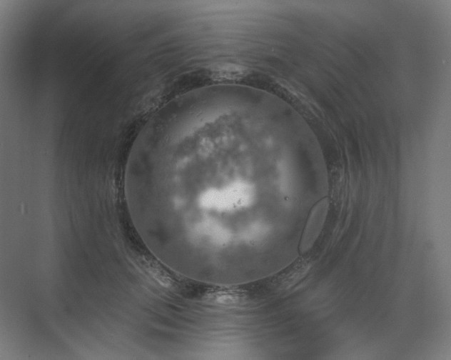 X0000075830655200609151240