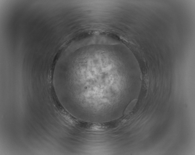 X0000075830657200609151240