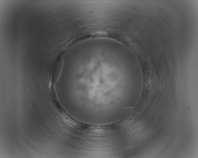 X0000075830658200609151240