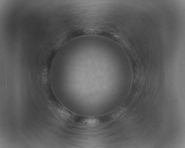 X0000075830659200609151240