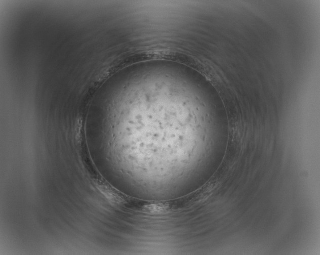 X0000075830660200609151240