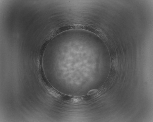 X0000075830662200609151240