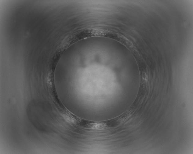 X0000075830663200609151240