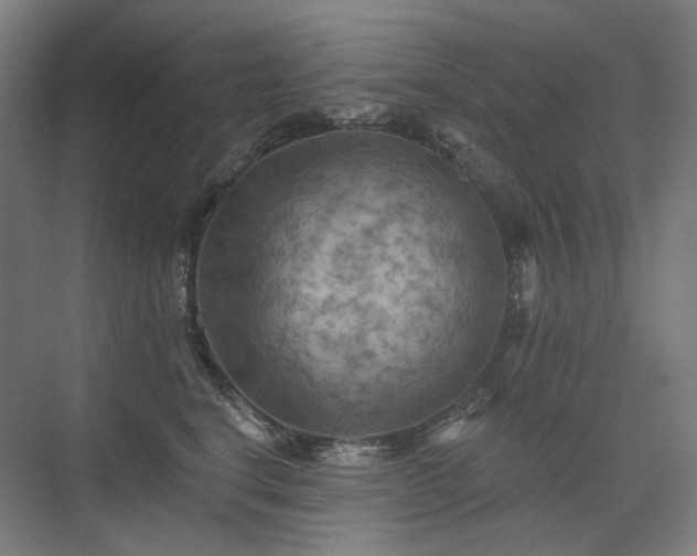 X0000075830664200609151240