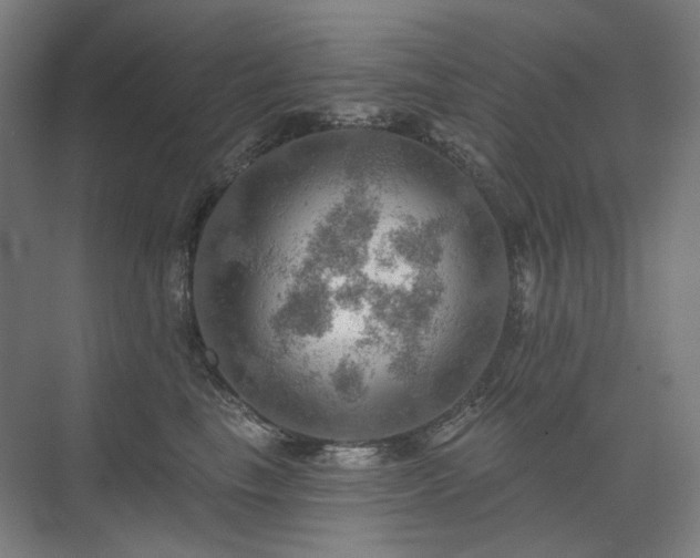 X0000075830665200609151240