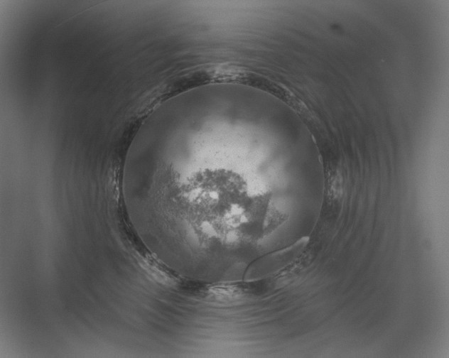 X0000075830666200609151240