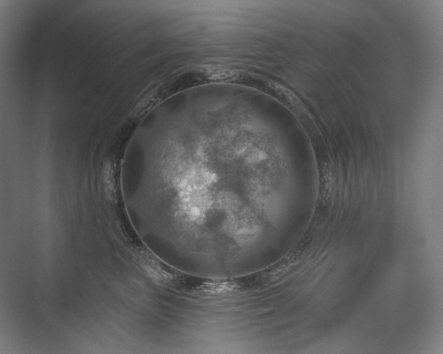 X0000075830667200609151240