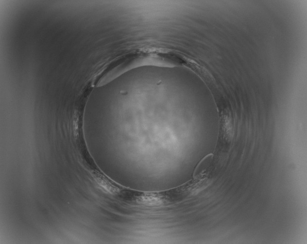 X0000075830668200609151240