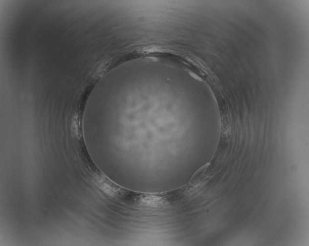 X0000075830669200609151240