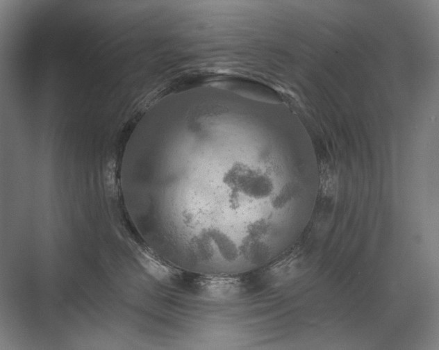 X0000075830670200609151240