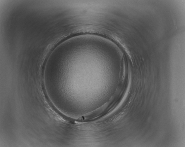 X0000075830673200609151239