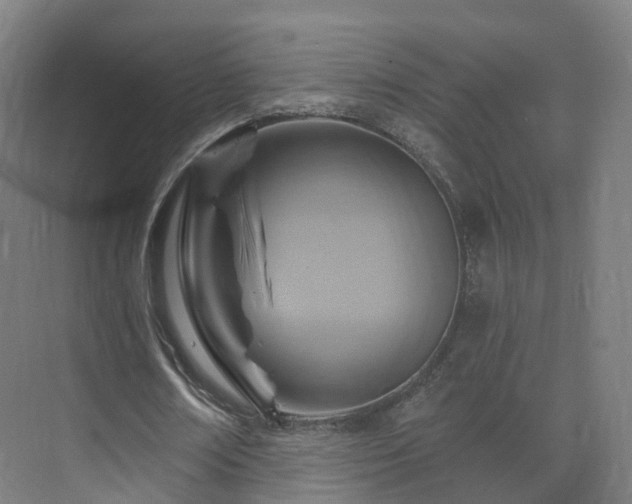 X0000075830674200609151239