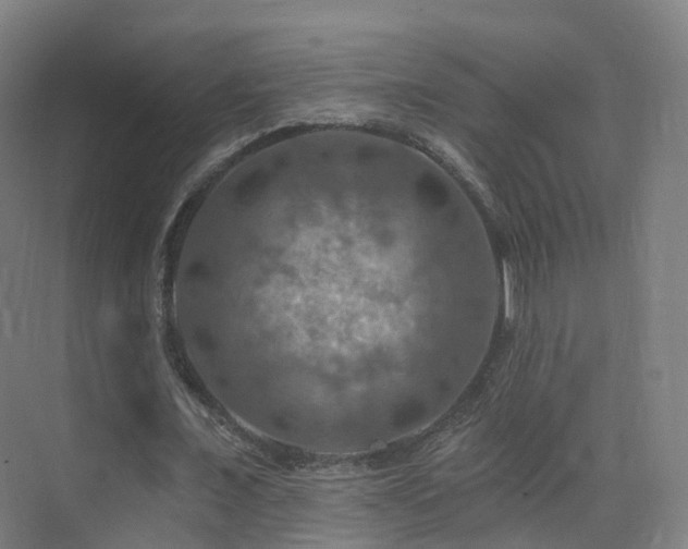 X0000075830675200609151239