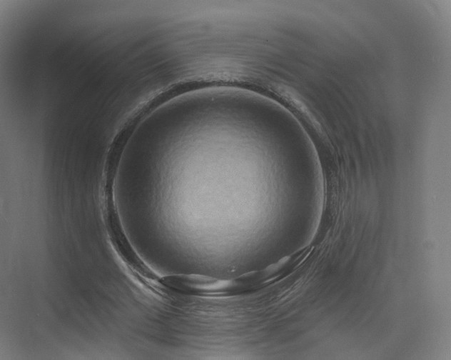 X0000075830677200609151239