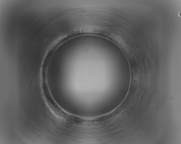 X0000075830678200609151239