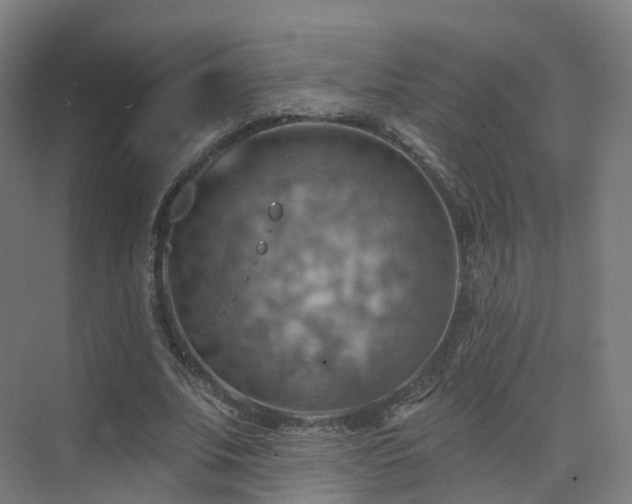 X0000075830679200609151239