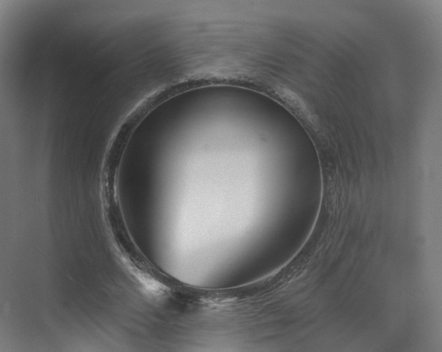 X0000075830680200609151239