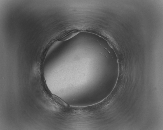 X0000075830681200609151239