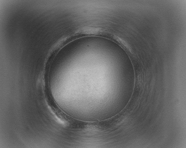 X0000075830682200609151239