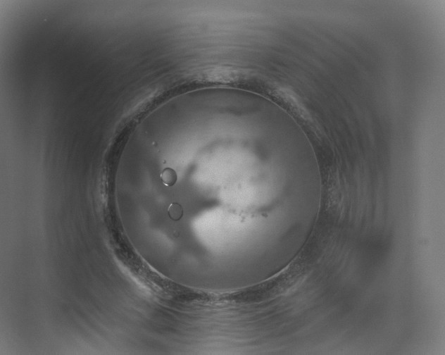 X0000075830683200609151239