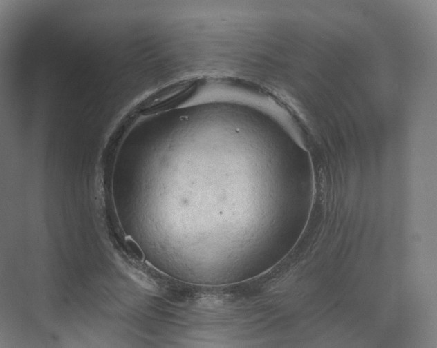 X0000075830684200609151239