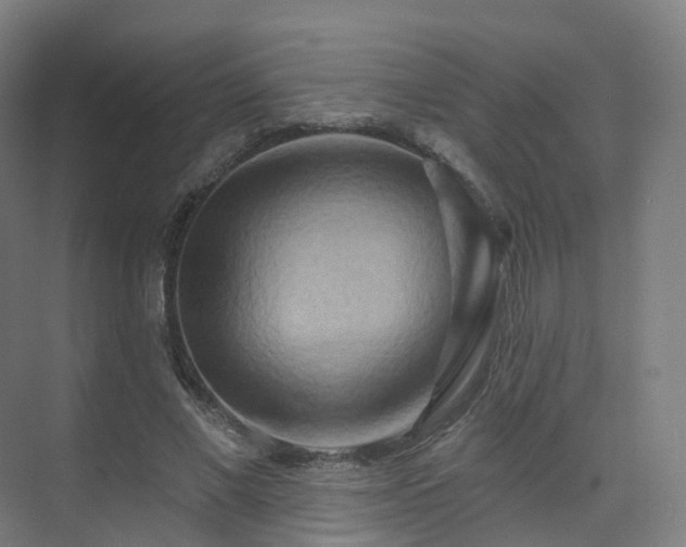 X0000075830685200609151239