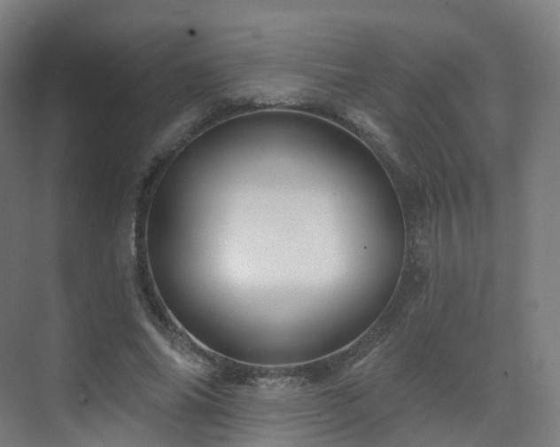 X0000075830686200609151239