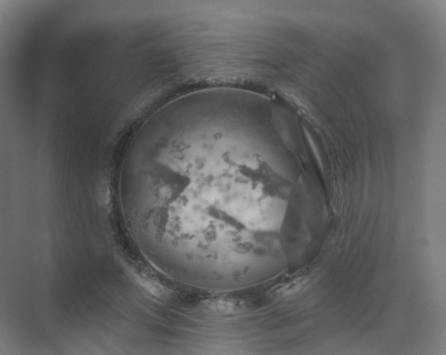 X0000075830687200609151239