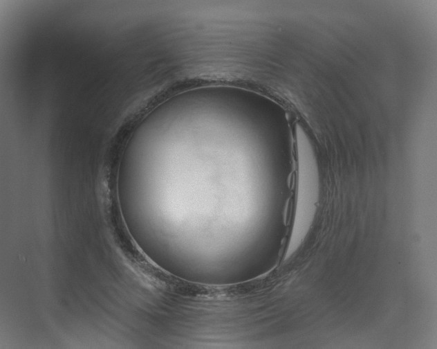 X0000075830688200609151239