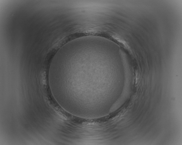 X0000075830689200609151239