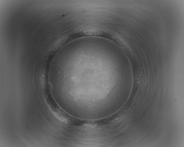 X0000075830690200609151239