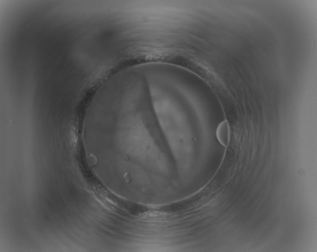 X0000075830691200609151239