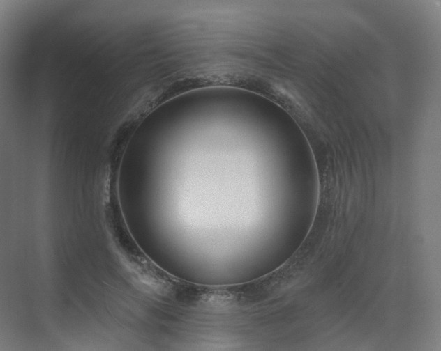 X0000075830694200609151239