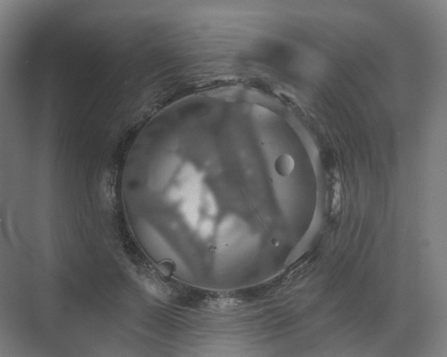 X0000075830695200609151239