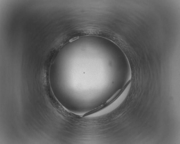 X0000075830696200609151239