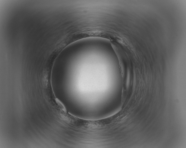 X0000075830697200609151239