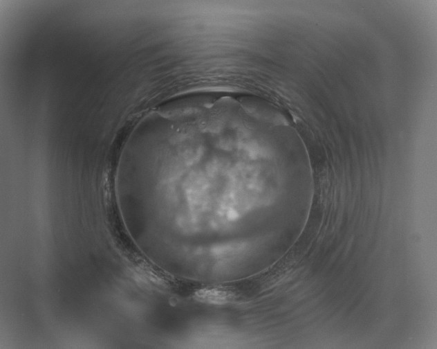 X0000075830699200609151239