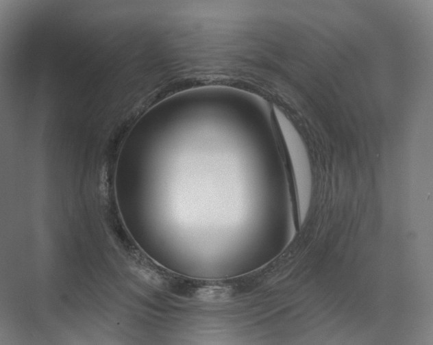 X0000075830700200609151239