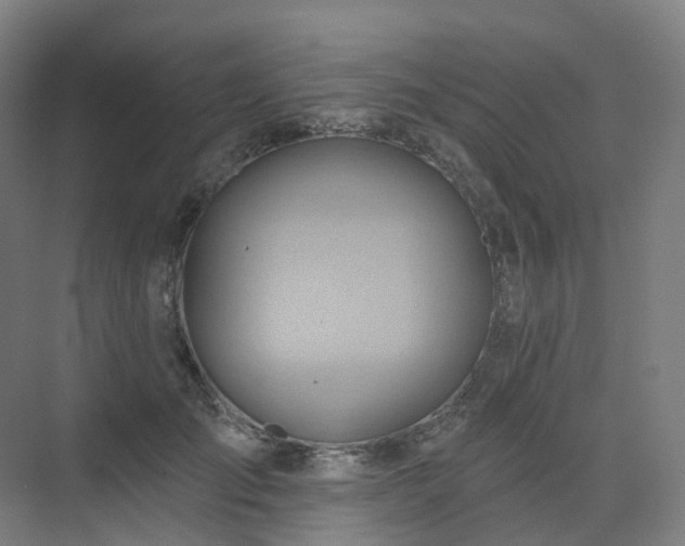 X0000075830701200609151239